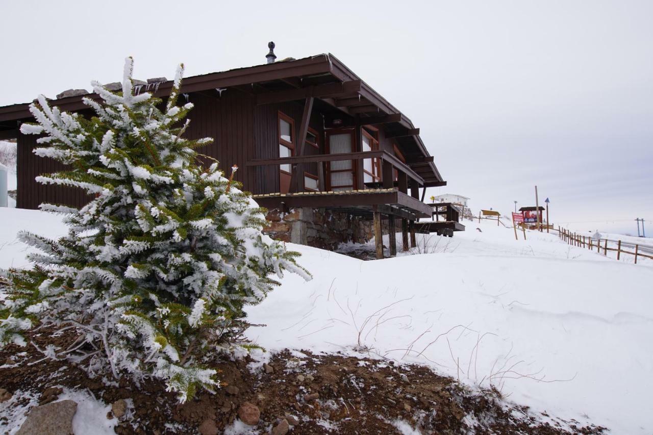 El Colorado Bungalows Екстер'єр фото
